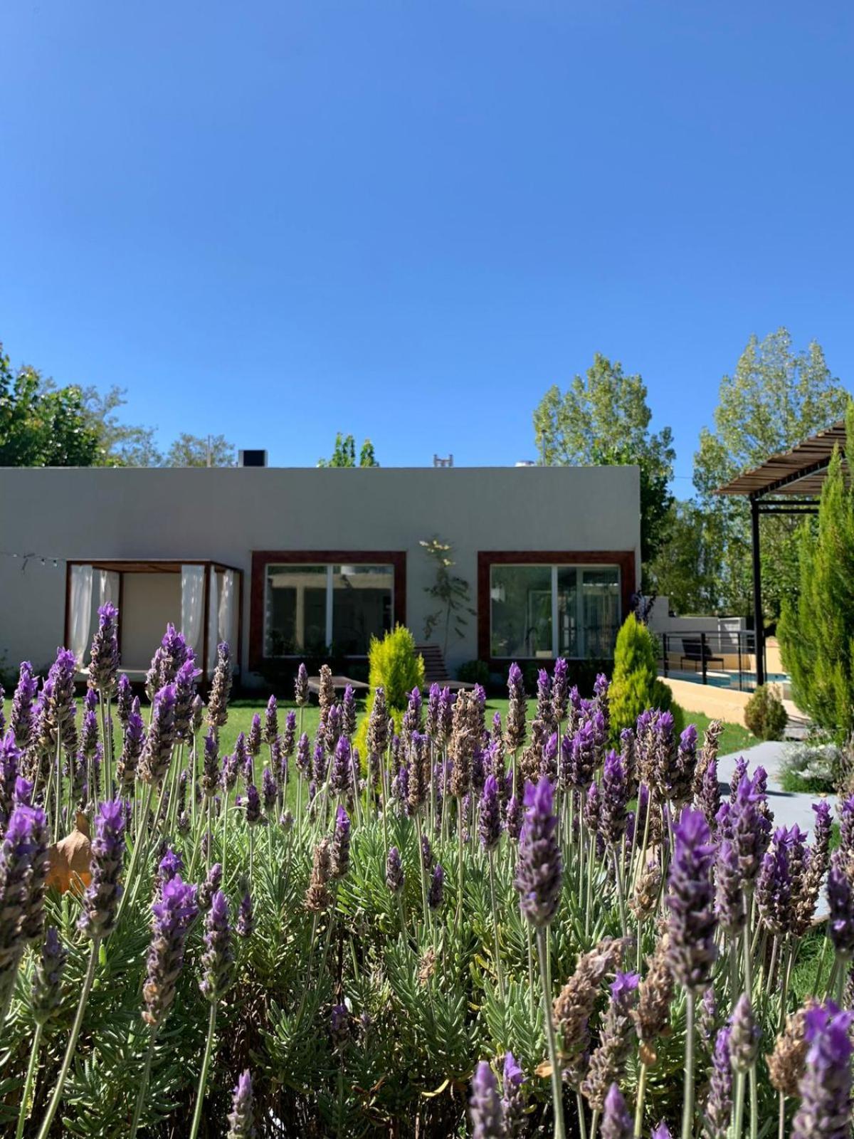 Lodge La Divina Pereza