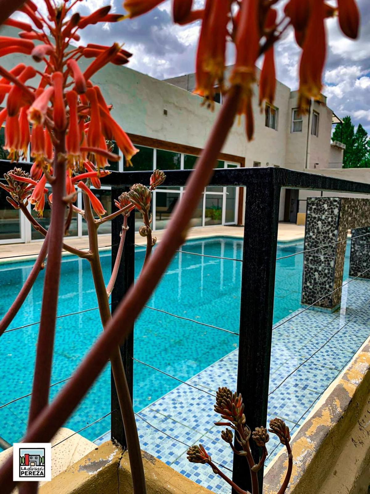 La Divina Pereza Lodge *